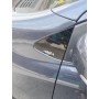 Front Side Mirror Cover