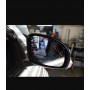 Side Mirror Lens w Signal Indicator