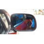 Side Mirror Lens w Signal Indicator