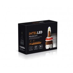 INTELLED 6500K （3000LM)